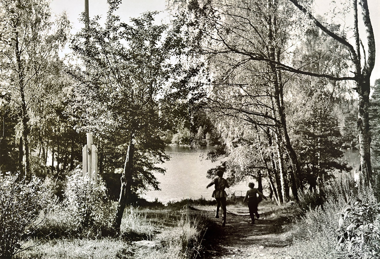 View down to the lake at Aspnäs, 1955